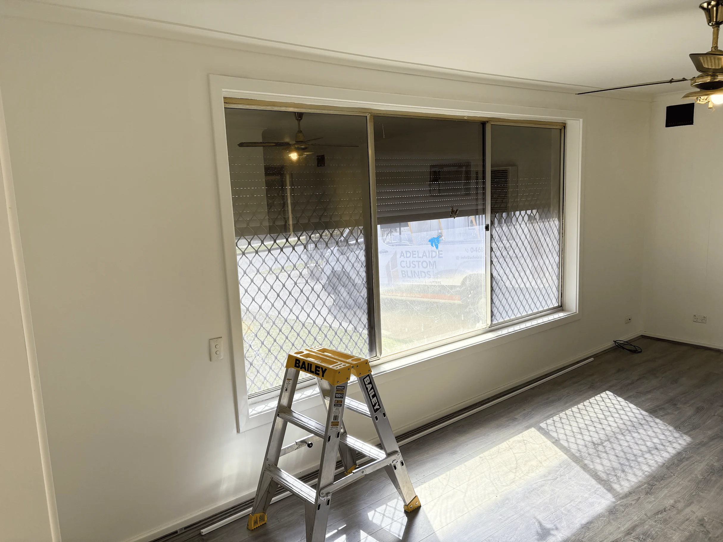 Window