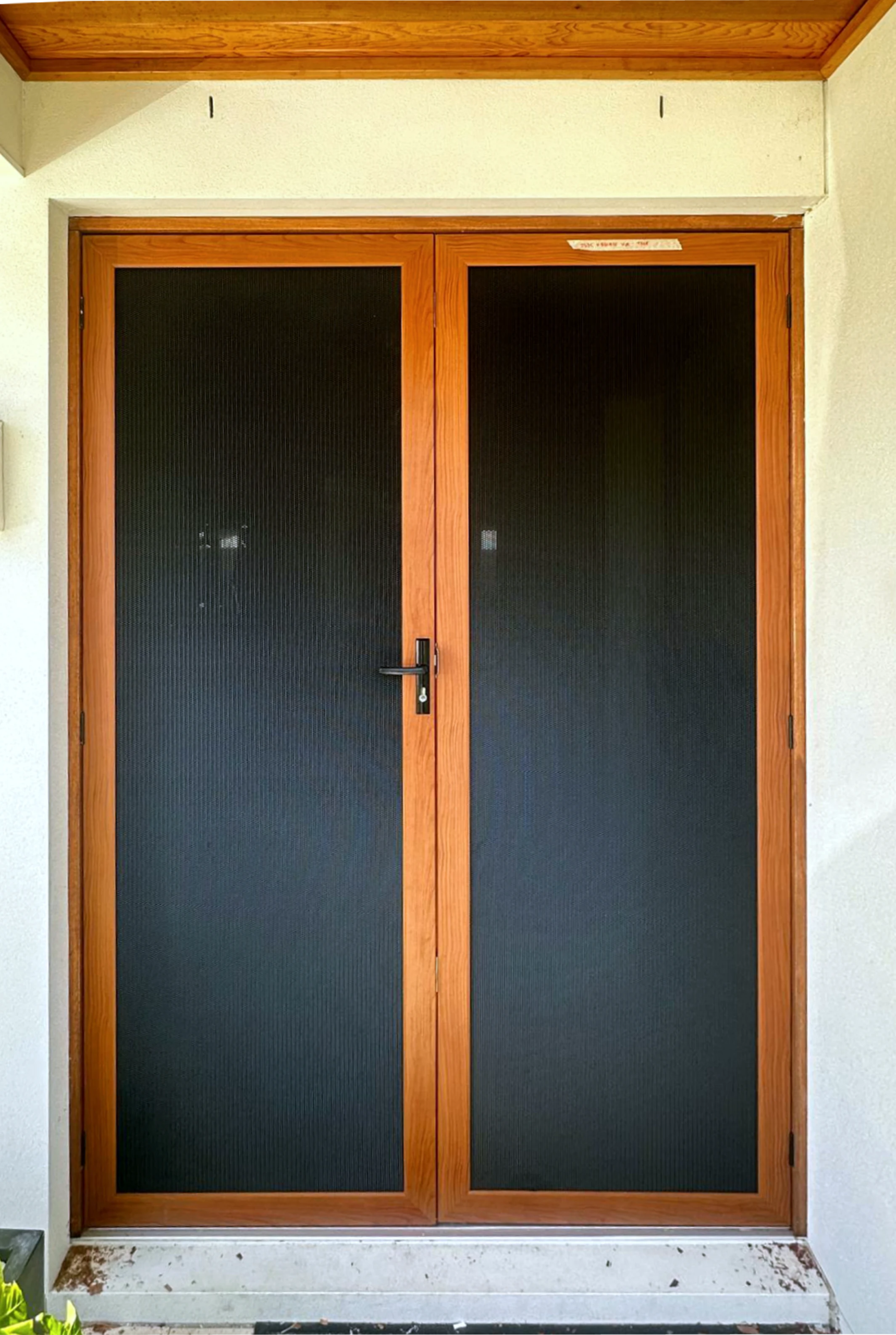 Security Door