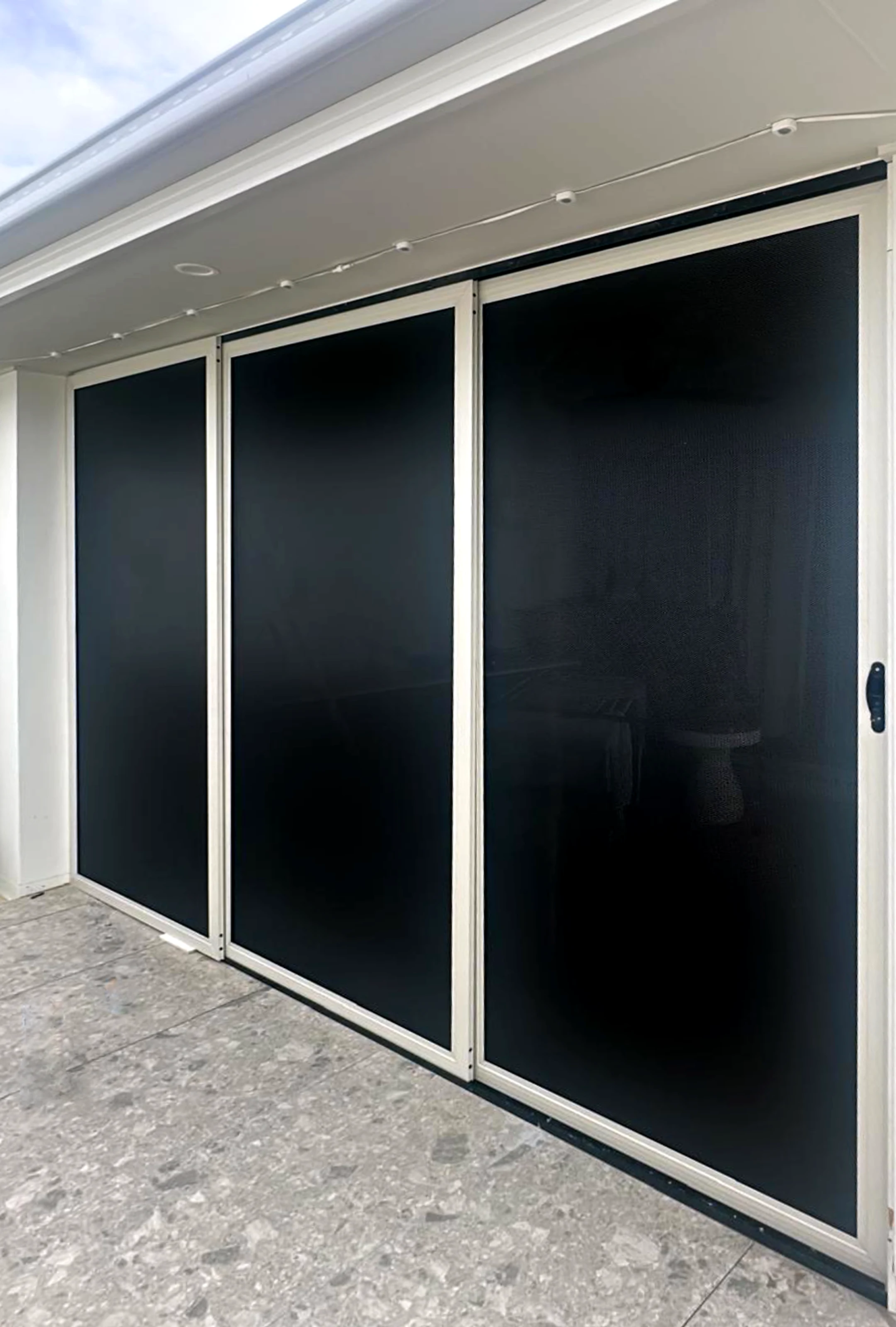 Fly Screen